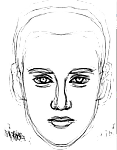 Line Art Nose : Line art nose