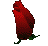 rosebloom