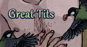 Great Tits